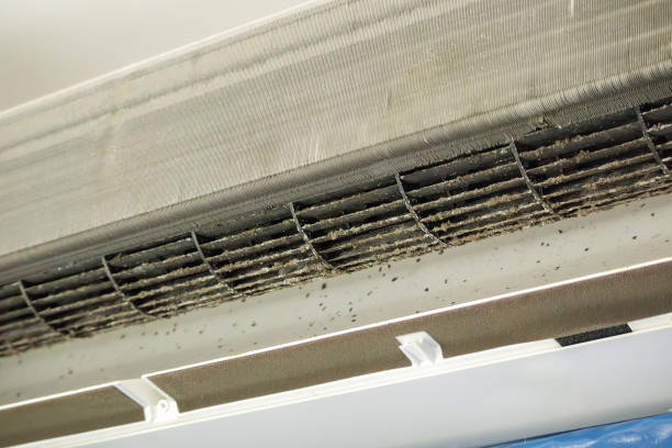 Best HVAC System Cleaning  in Maybrook, NY